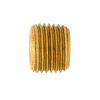 Micro 100 Hex Plug - 1/4-18 NPT Threaded Brass 40198